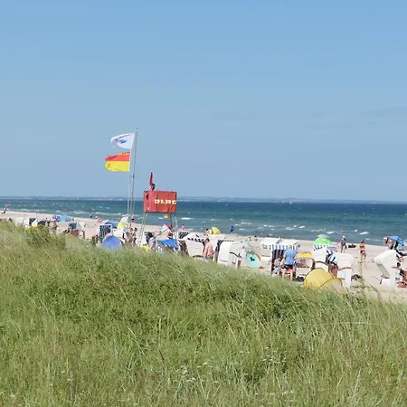 D6 Am Ostseestrand